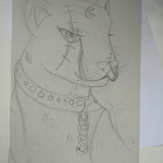 Рисунок "предводитель гепардов"
