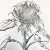Рисунок "Я  Солнечный цветок" на конкурс "Конкурс творческого рисунка “Свободная тема-2022”"