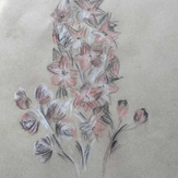 Рисунок "цветок дельфиниум"