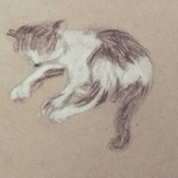 Рисунок "кот Чарли"