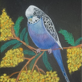 Рисунок "Волнистый попугайчик"