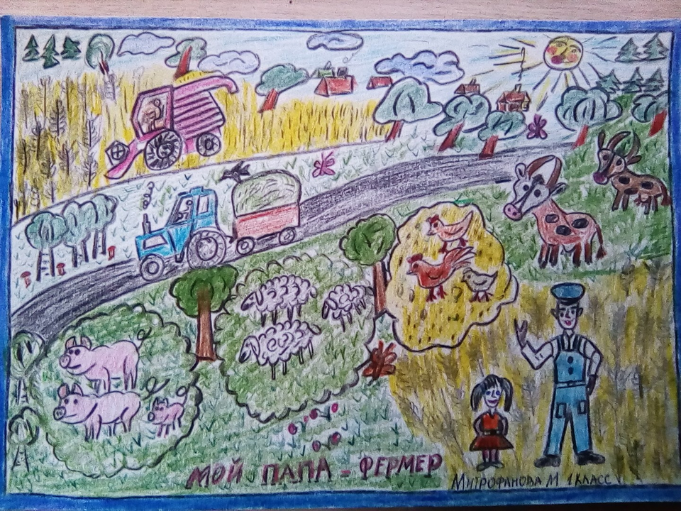 Детский рисунок - Мой папа- фермер