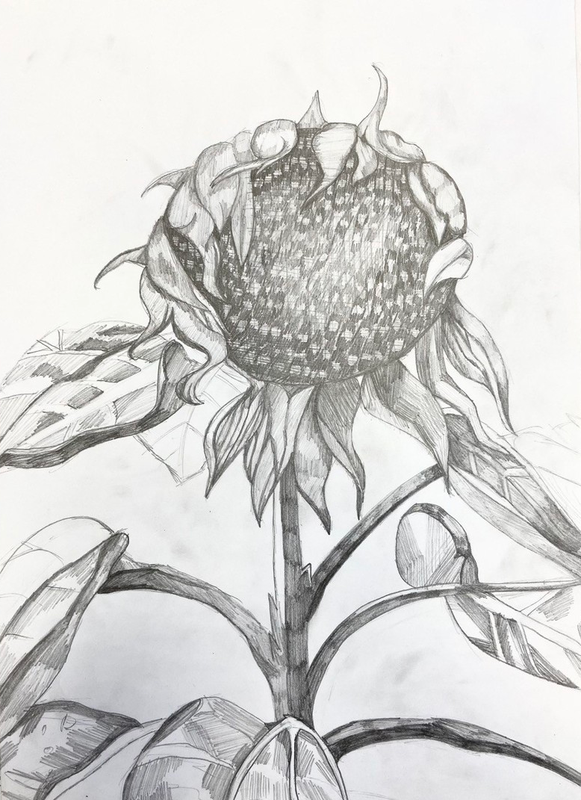 Детский рисунок - Я  Солнечный цветок