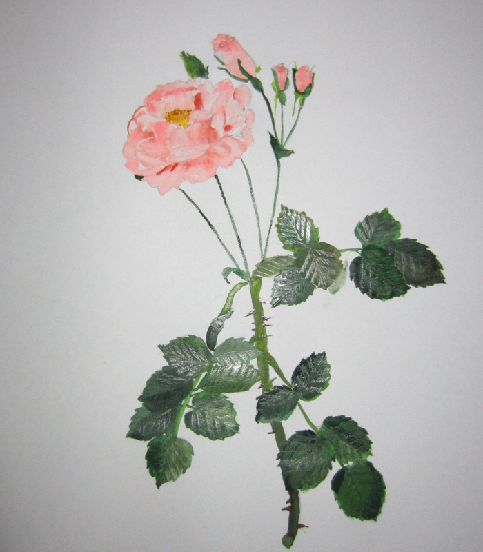 Детский рисунок - Дамасская роза