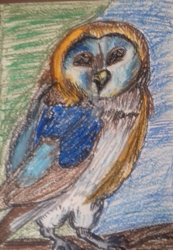 Детский рисунок - Сипуха - ночная птица