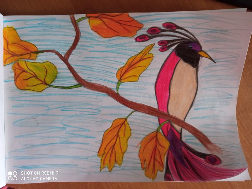 Детский рисунок - Райская птичка