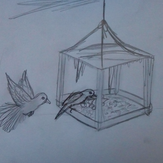 Рисунок "Птицы"
