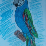 Рисунок "Попугайчик"