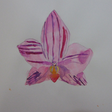 Рисунок "Орхидея"
