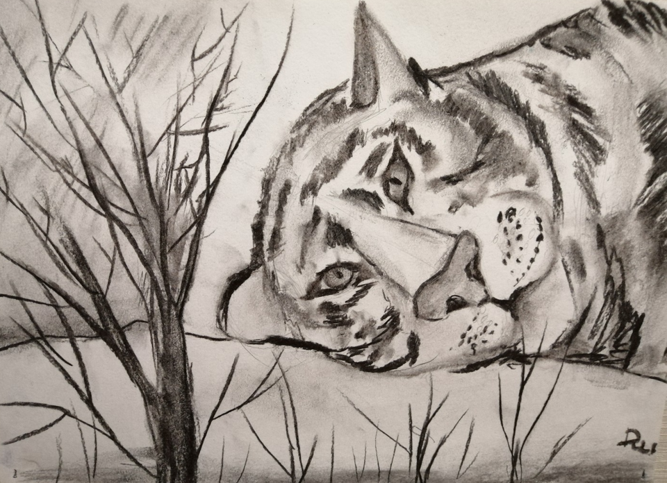 Детский рисунок - Тигр