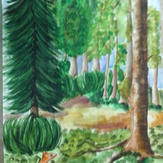 Рисунок "Сказки Севастьяновского леса"