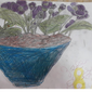 Комнатный цветок, Юнона Бабаева, 7 лет