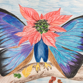 Рисунок "Бабочкокрылый Птицецвет" на конкурс "Конкурс детского рисунка “Невероятные животные - 2018”"