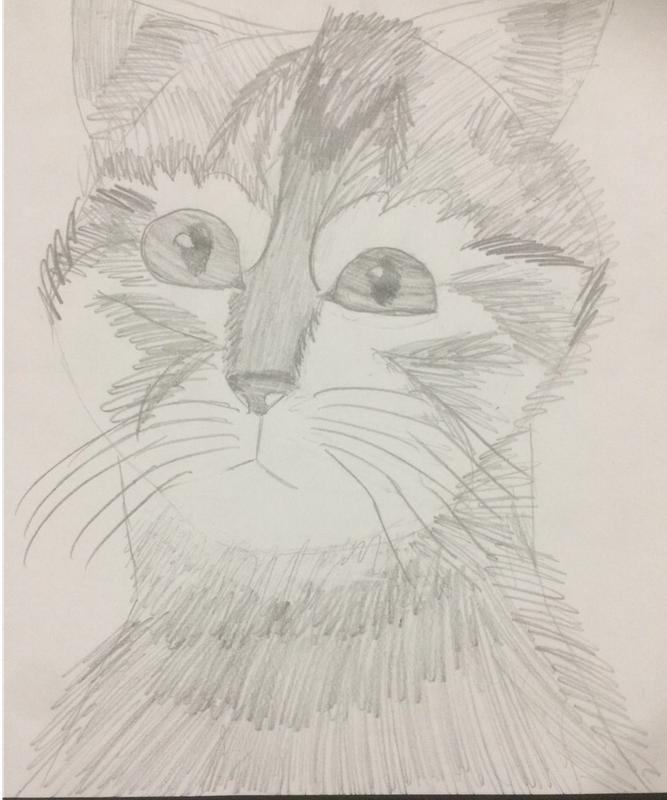 Детский рисунок - Котик