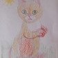 Кот по кличке Басик, Полина Чихонадских, 6 лет
