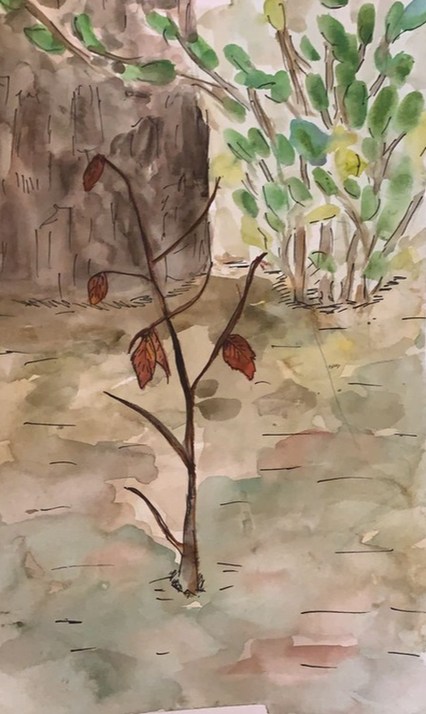 Детский рисунок - Осенняя рапсодия