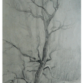 Рисунок "Дерево"
