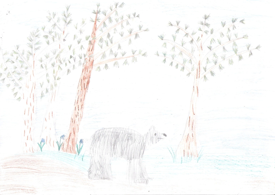 Детский рисунок - лес