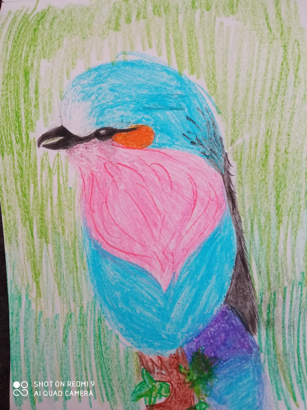 Детский рисунок - Райская птичка