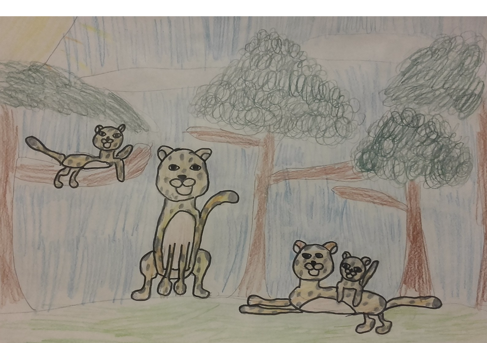 Детский рисунок - Леопарды