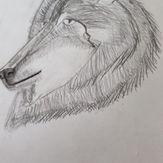 Рисунок "Волк" на конкурс "Конкурс творческого рисунка “Свободная тема-2020”"