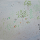 Рисунок "В лесу" на конкурс "Конкурс детского рисунка “Мой родной, любимый край”"