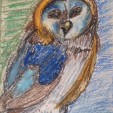 Рисунок "Сипуха - ночная птица" на конкурс "Конкурс детского рисунка "Любимое животное - 2018""