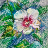 Рисунок "Ніжна квітка мальви"