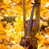 Рисунок "Осенняя музыка"