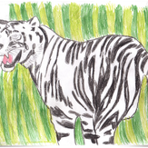 Рисунок "Бенгальский тигр" на конкурс "Конкурс творческого рисунка “Свободная тема-2019”"