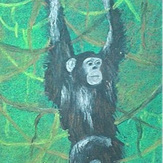 Рисунок "Шимпанзе"