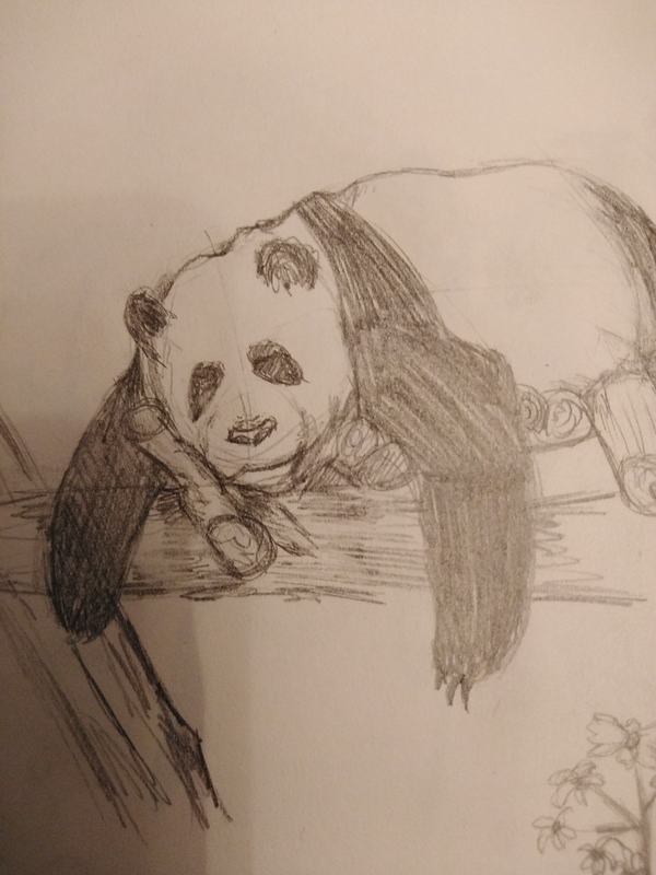 Детский рисунок - Спящая панда