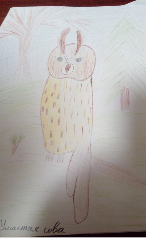 Детский рисунок - Ушастая сова