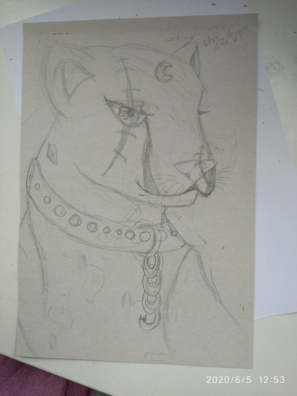 Детский рисунок - предводитель гепардов