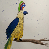 Рисунок "попугай"