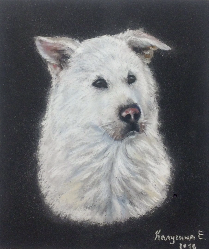 Детский рисунок - Белоснежный пёс