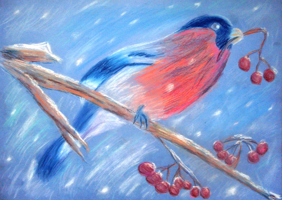 Очень легкая птица. Снегирь пастелью. Рисунки гуашью для детей. Снегирь цветными карандашами. Зимние рисунки гуашью для детей.