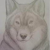 Рисунок "Волк"