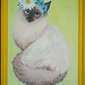Сиамская кошечка, / /, 16 лет