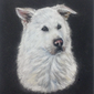 Белоснежный пёс, Елизавета Калугина, 14 лет
