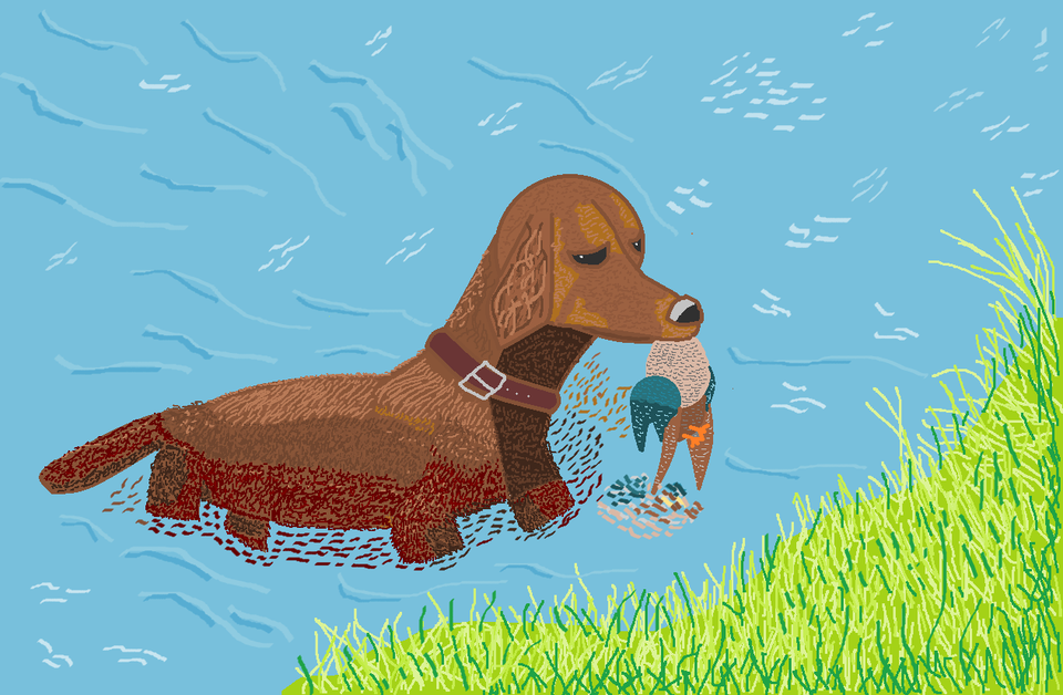 Детский рисунок - Охотничья собака