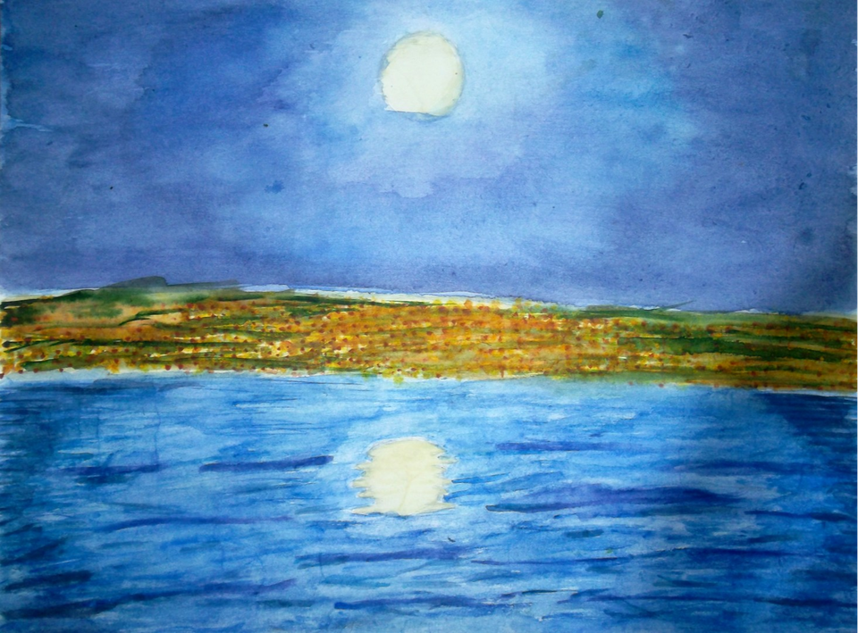 Детский рисунок - Лунная ночь