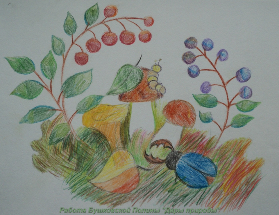 Детский рисунок - Дары природы