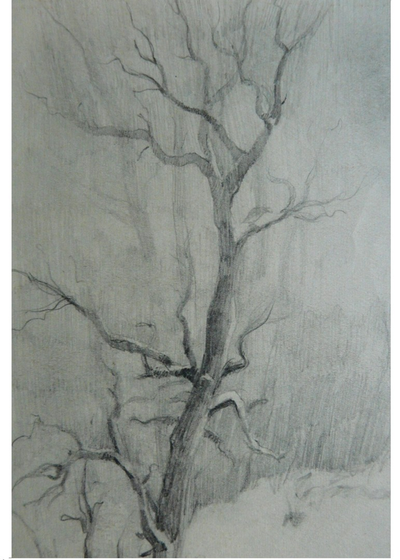 Рисунок - Дерево