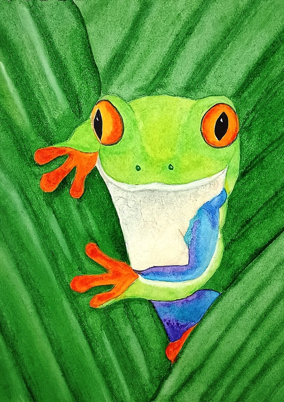 Детский рисунок - Древесная лягушка