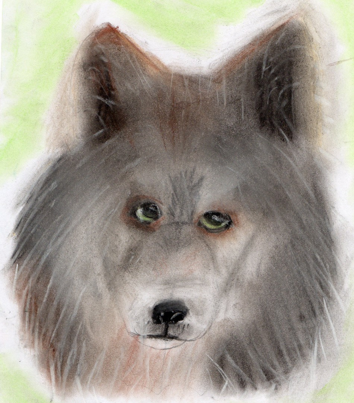 Детский рисунок - волк