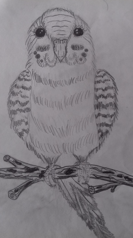 Детский рисунок - Попугай Даша