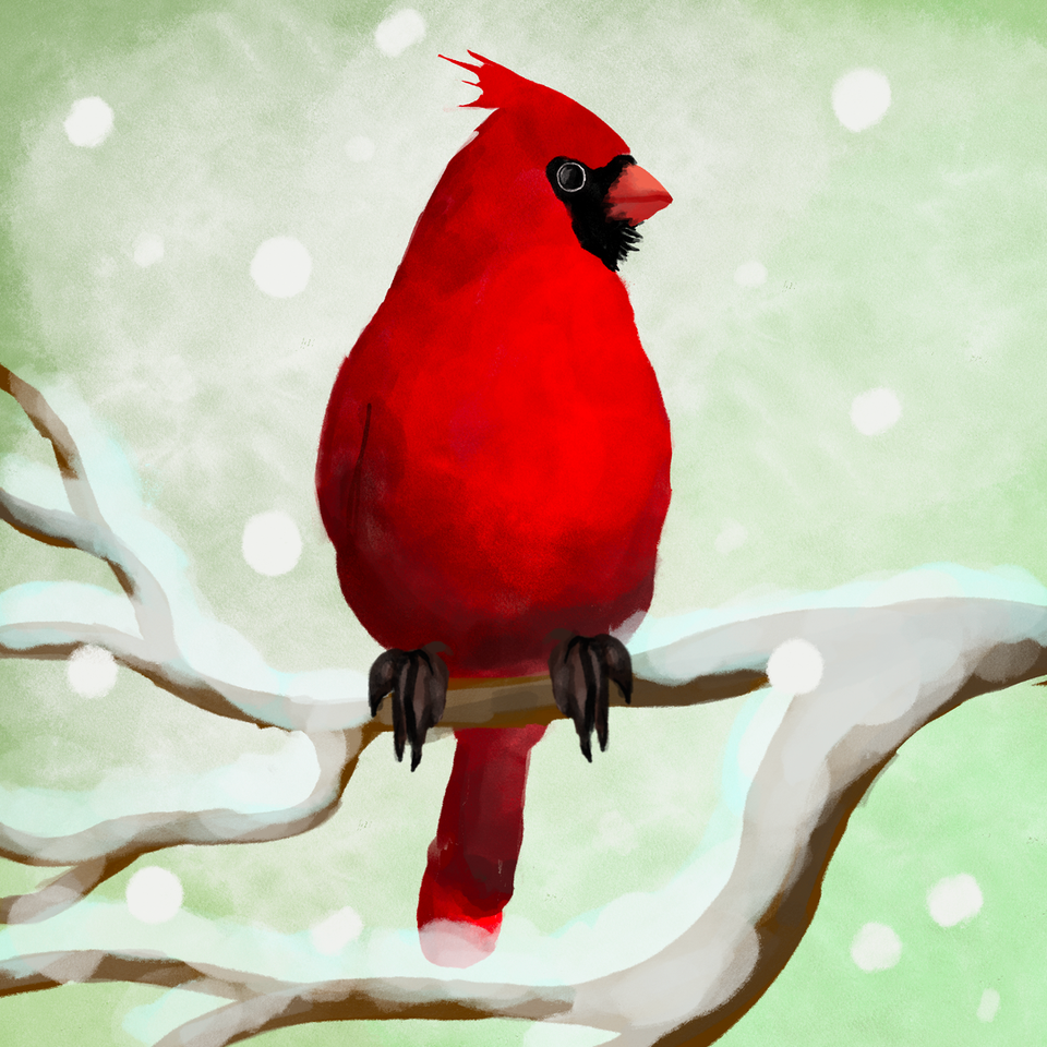 Детский рисунок - Красный кардинал