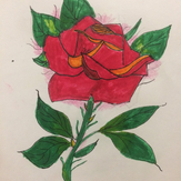 Рисунок "Роза"