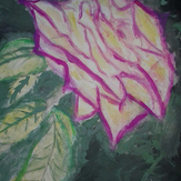 Рисунок "Роза во тьме"